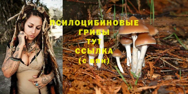 МДМА Абаза